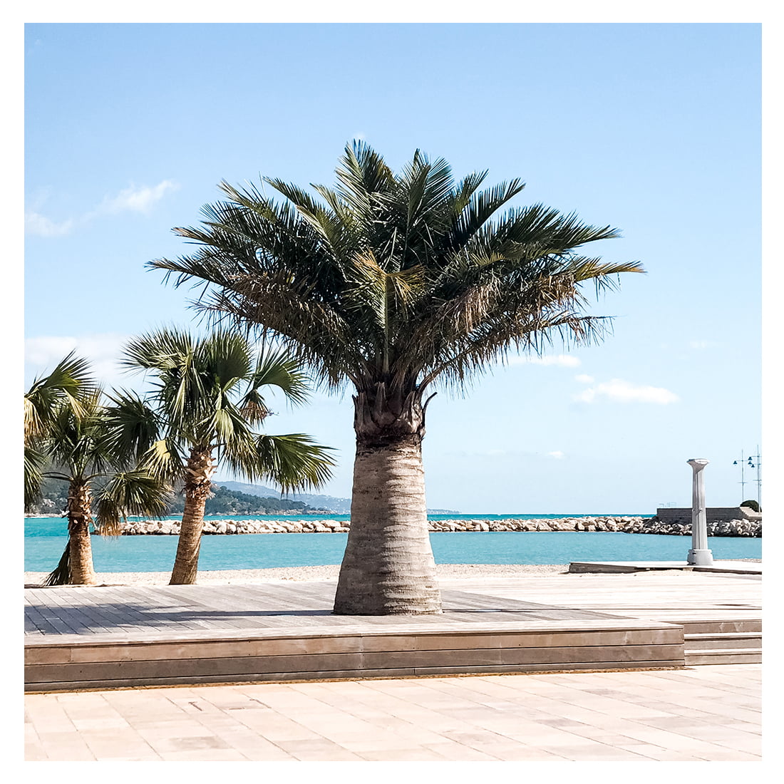 Menton boulevard france Menton boulevard france